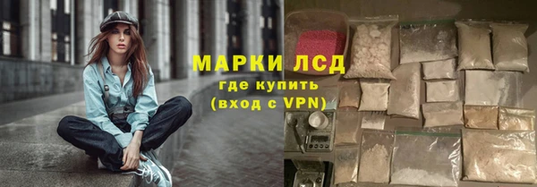 сатива Армянск