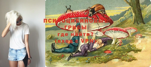apvp Аркадак