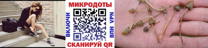 Галлюциногенные грибы ЛСД  Бологое 